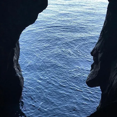 Fuer 4 Personen Ca 15 M In So Martinho, Madeira Suedkueste Von Madeira 公寓