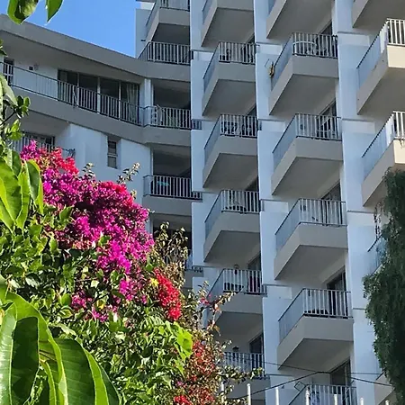 Apartment Fuer 4 Personen Ca 15 M In So Martinho, Madeira Suedkueste Von Madeira Funchal (Madeira)