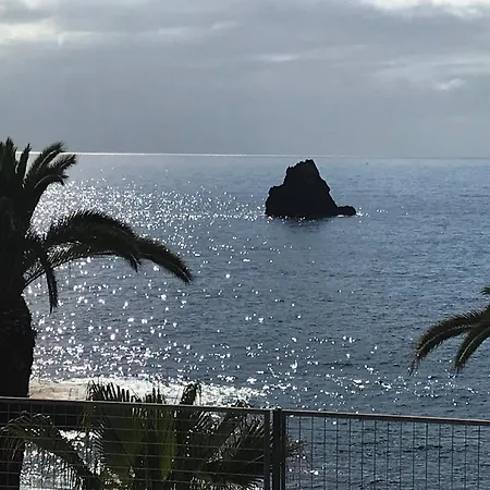 公寓 Fuer 4 Personen Ca 15 M In So Martinho, Madeira Suedkueste Von Madeira 丰沙尔